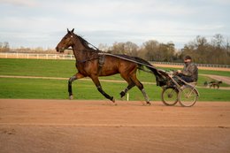 Grosbois-estate,-Drivers,-French-Trotters,-Grosbois,-Harness-racing,-Horse,-Horses,-Kaleidos,-Kaleidos-images,-La-parole-à-limage,-Marolles-en-Brie,-Sulkies,-Sulky,-Tarek-Charara,-Trotters